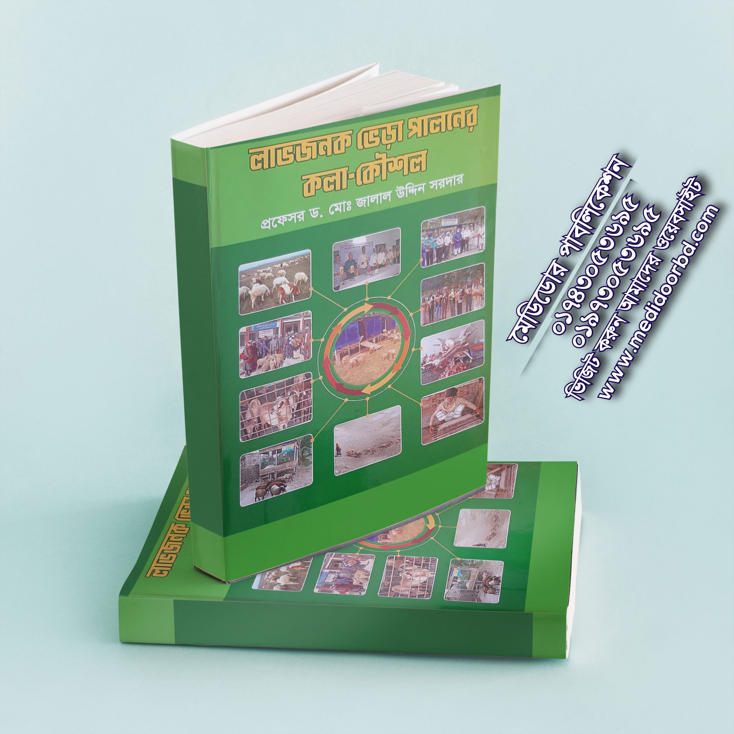 লাভজনক ভেড়া পালনের কলা-কৌশল